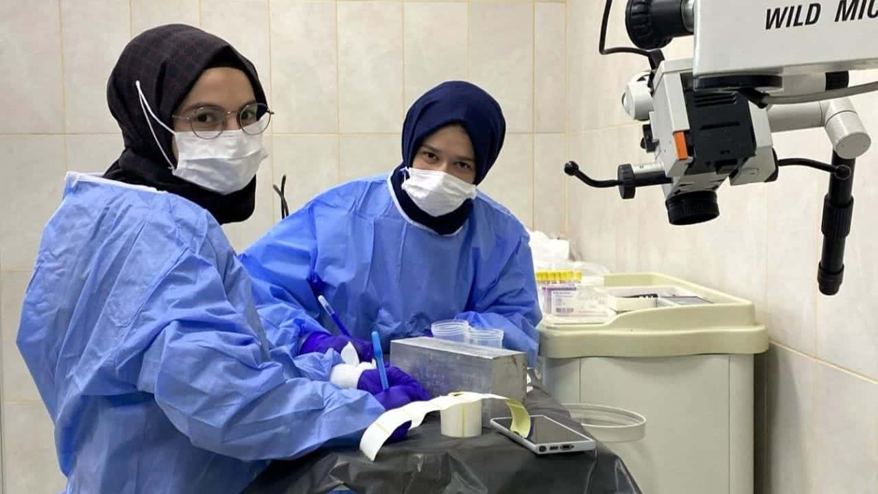 SUBÜ'de 2025-2026 Güz Yarıyılı'nda 1.641 Öğrenci +1 Eğitim Modeliyle İş Deneyimi Elde Etti