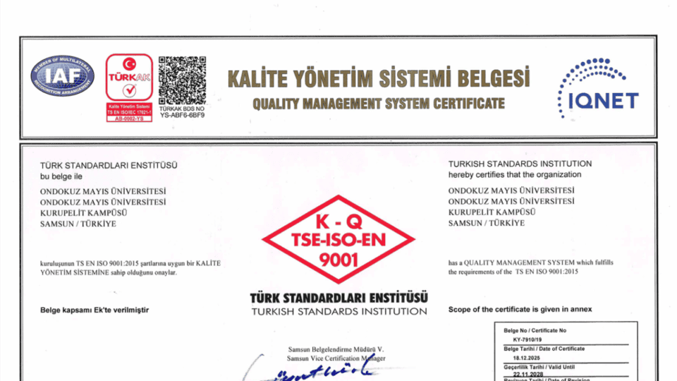 OMÜ’den Uyarı: Karakterolojik Şiddet Aile İçi İlişkilerde Kalıcı Etkiler Bırakıyor