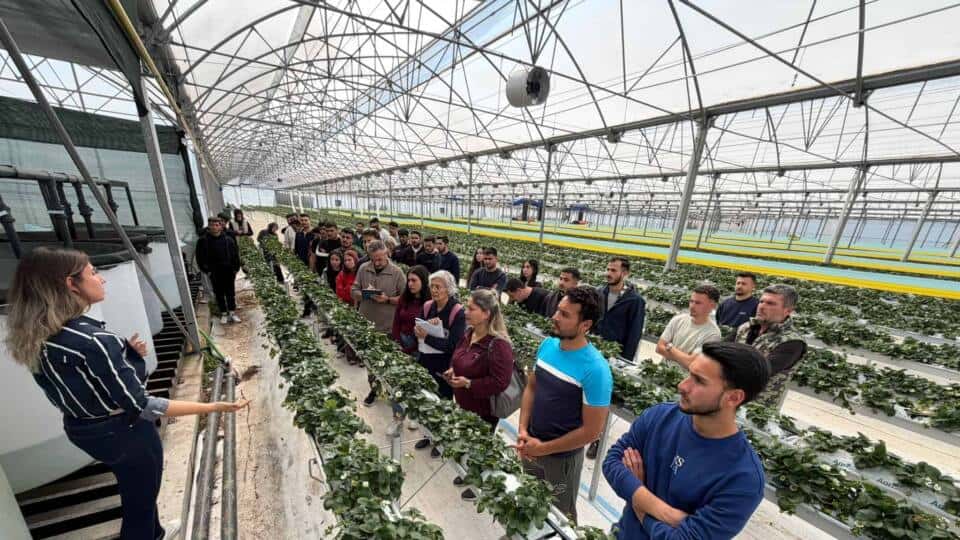 Kumluca MYO Öğrencileri Topraksız Çilek Üretiminde Modern Teknikleri Yerinde Gözlemledi