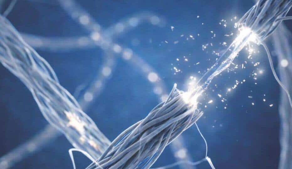 Sakarya Üniversitesi Yayınları’ndan Nörolojiye Güncel Klinik Tanı Rehberi